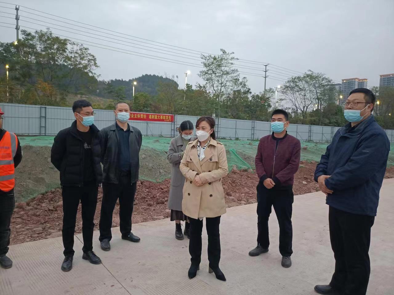 县国资金融局领导视察并指导博泰公司重点项目建设工作