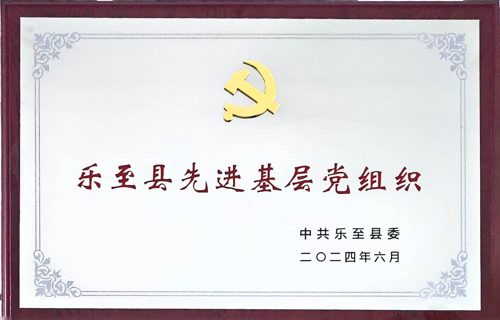 乐至县先进基层党组织